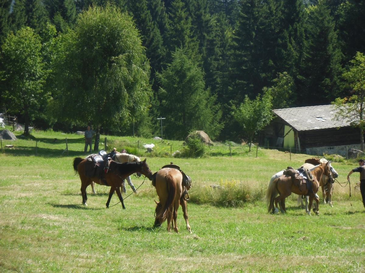 Locanda La Ruscoletta Telve Buitenkant foto